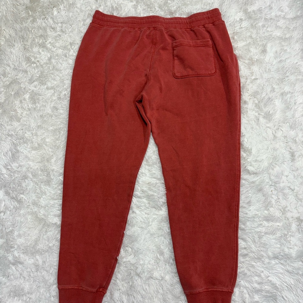 Marine Layer Garment Dyed Fleece Jogger Sweatpants in Tandori Spice - Picture 6 of 6